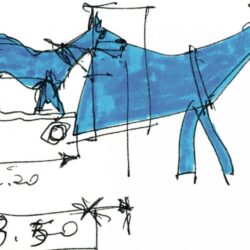 marco cavallo marco cavallo