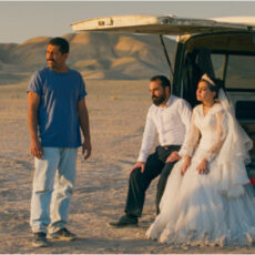 ICONA - UN SEMPLICE INCIDENTE