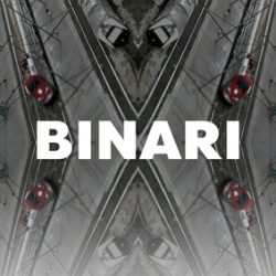 Poster-Binari-ok